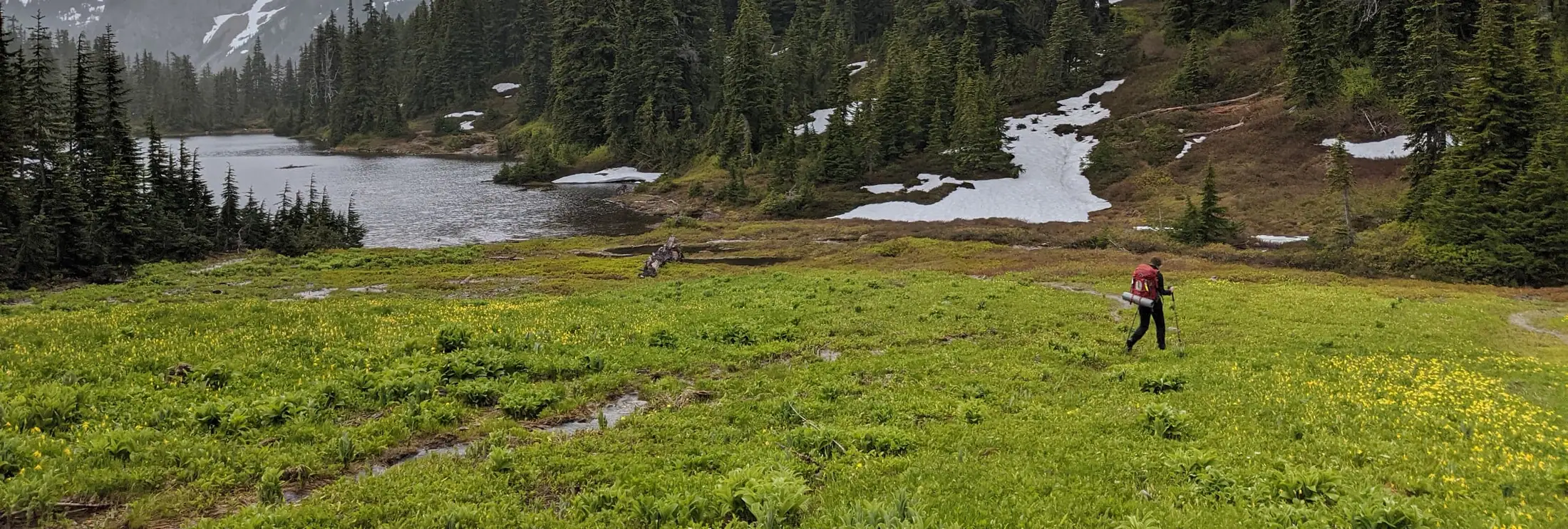 Trail runner in a mountain meadow